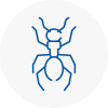 Ant Removals In Chepstow