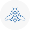 Bee Nest Removal Chepstow