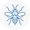 Chepstow Hornet Nest Removals