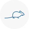 Mice Exterminators In Chepstow