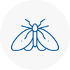 Moth Control Specialists In Chepstow
