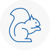 Chepstow Rodent Removals